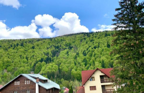 Holiday Home in Sinaia